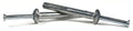 100-Pack 1/4 x 2 Inch Hammer Drive Anchors with Stainless Steel Nails